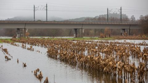 Las fincas anegadas junto al viaducto del tren, en el trayecto desde Vilagarc&iacute;a a Pontevedra.
