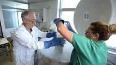 Unidad de Criobiologa del Chuac. El doctor Jacinto Snchez, extrayendo tejidos de los tanques de fro