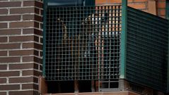  .Excalibur, el d�a que fue sacrificado