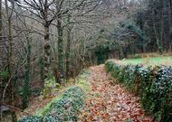 La empresa cuenta con planes de prevenci�n de incendios coordinados con la comunidad aut�noma.