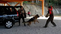 Demostraci�n de un supuesto ataque a la v�ctima.