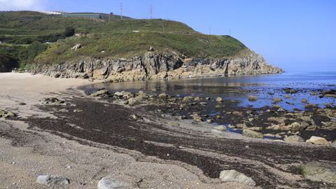 La playa canina de Bens, A Coru�a