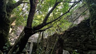 Vilarcobo, la aldea fantasma