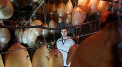 Opazo traballa estes d�as para ter as vexigas a punto para as sa�das das pantallas de Xinzo de Limia nos d�as do entroido. 