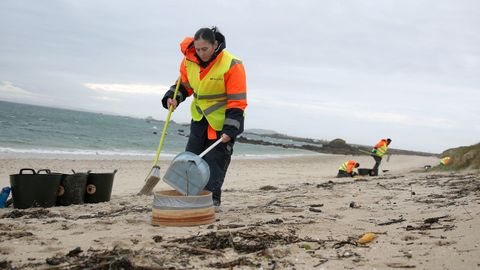 TRABAJADORES CONTRATADOS POR LA ARMADORA DEL TOCONAO LIMPIAN LA PLAYA DE O CASTRO DE PELETS