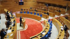 Comparecencia del vicepresidente Alfonso Rueda ante la Diputaci�n Permanente