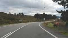 AC-101, donde ocurri� el accidente