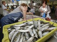 En casi todos los puestos del mercado hubo ayer sardina para asar. 