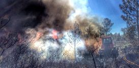 Gran despliegue de medios para apagar los incendios de Rodeiro.