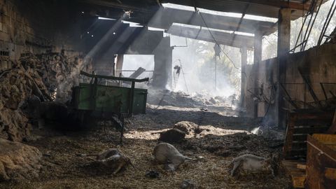 Explotación ganadera arrasada por el fuego en A Caridade, Monterrei