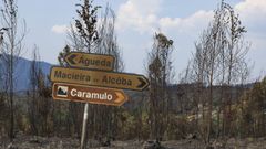 Se�ales informativas en un �rea quemada de Vouzela, en el distrito de Viseu