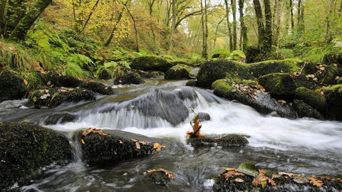 La Ruta dos Muiños sigue el cauce del río Mera