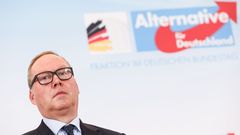 El candidato de la AfD, Max Otte es uno de los cr�ticos m�s duros de la excanciller Angela Merkel.