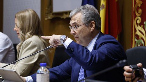 Luis Menor, en el pleno que este viernes celebró la Diputación de Ourense.