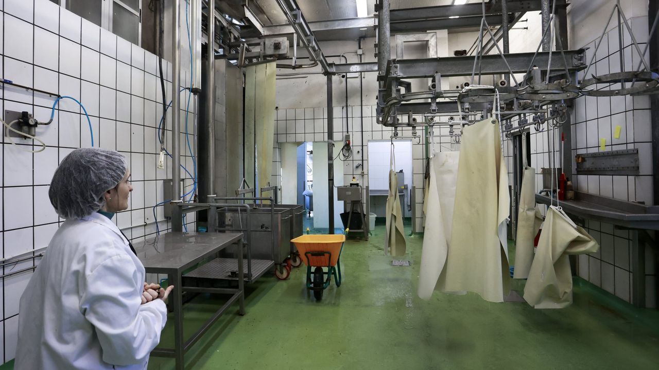 El matadero de Sarria lleva más de tres semanas cerrado por nuevas averías