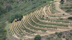 Vias en Ribeira Sacra