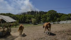 Hace una semana hubo un incendio en Penarrubia, cerca de viviendas y granjas