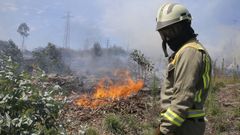 Incendio forestal en San Crist�bal das Vi�as