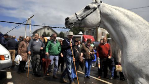 Caballos en una feria comarcal.