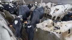 M�s de seis mil agricultores y ganaderos gallegos se beneficiar�n del pago de estas ayudas