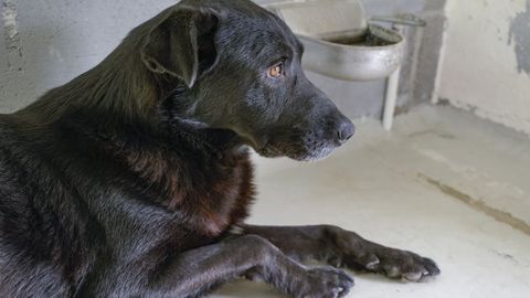 Carballal se encuentra en buen estado en la cl�nica