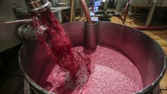 Trasiego de vino en uno de los depsitos de la bodega Va Romana