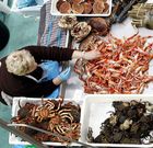 La venta de marisco para congelar anima las ventas en la plaza de Pontevedra<span lang= es-es > </span>