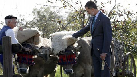 Los Reyes entregaron el Premio al Pueblo Ejemplar de Asturias, que este a�o ha reca�do en la aldea de Pore�u, en el concejo de Villaviciosa