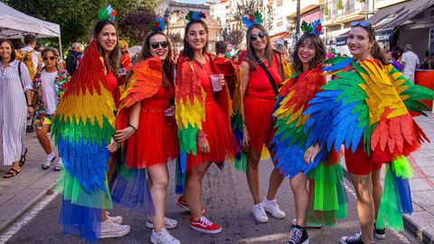 Carnaval de Verano de Redondela, en su pasada edicin.