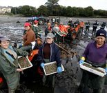 Las mariscadoras de Vilaboa depositar�n en Riomaior cuatro millones de cr�a de almeja este oto�o. 