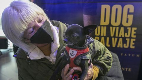 Una mujer con su perro llega al estreno de la pel�cula �Dog: Un viaje salvaje�.