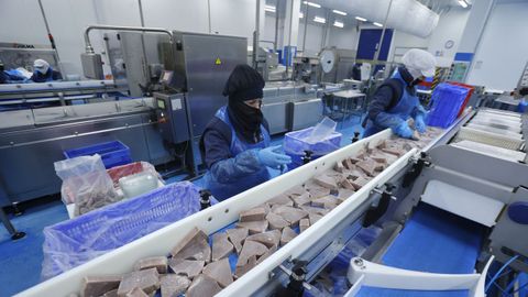 As trabaja y elabora el atn Fricam en su nueva etapa post Atunlo