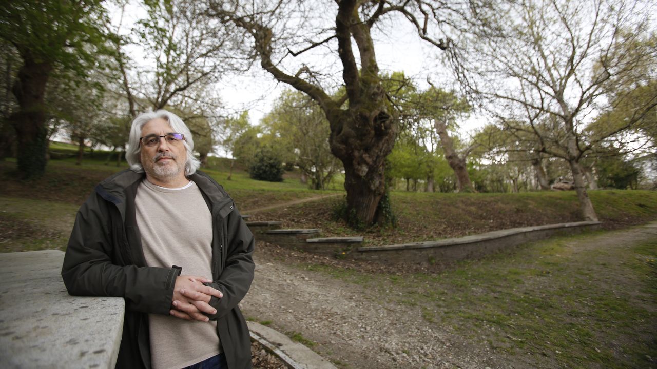 Pedro Álvarez, profesor de Enxeñaría: «Ter castiñeiros é unha vantaxe para calquera terreo agroforestal»