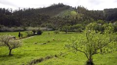 Vista de la parroquia de Couzadoiro