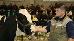 �Mira aqu� las im�genes de la subasta de vacas de la Semana Gandeira de Mazaricos!