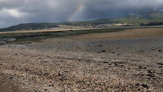Marisco muerto en la playa de Testal, Noia