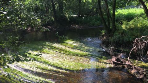 Chaián, Trazo