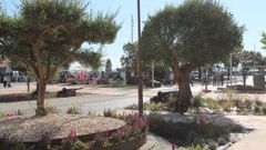 Algunos vecinos echan en falta mayor superficie arbolada en la renovada plaza