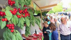 Las im�genes que dej� el domingo