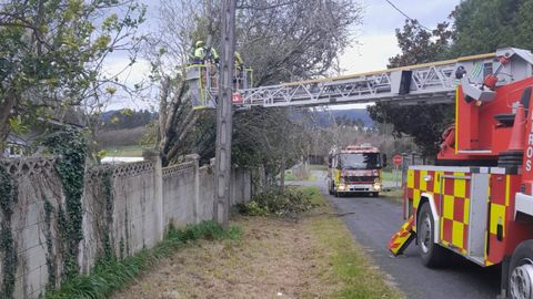 Los Bomberos de Narón cortando un árbol