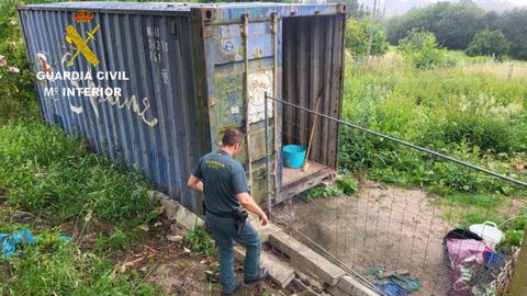 Contenedor en el que estaban los perros de un hombre acusado ahora de maltrato animal