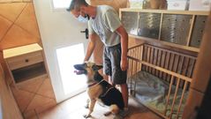Vista de una de las habitaciones caninas del hotel de Valdovi�o 