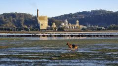 La fbrica de Ence en Lourizn, en Pontevedra