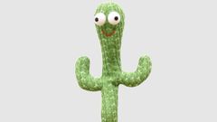 Imagen del cactus bailar�n