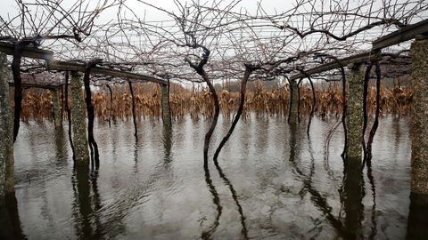 El ro Umia baja desbordado a la altura del puente de Bain, en Vilanova de Arousa