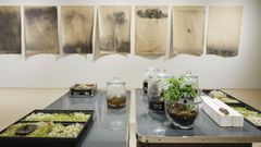 A c�u aberto: uma exposi��o em devir, de Alexandre A. R. Costa, en la Sala Alterarte del campus de Ourense.