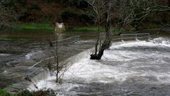 Nuevo desbordamiento del r�o Barcala en el paseo fluvial de Negreira
