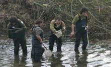 Agentes de Medio Ambiente en un sondeo mediante peque�as descargas el�ctricas de la poblaci�n de truchas en el Asma. 