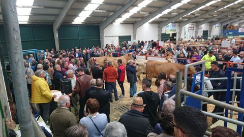 Feria y subasta de ganado vacuno en A Fonsagrada.