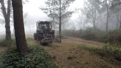 Imagen de archivo de trabajos de limpieza en una parcela forestal en Porto do Son.